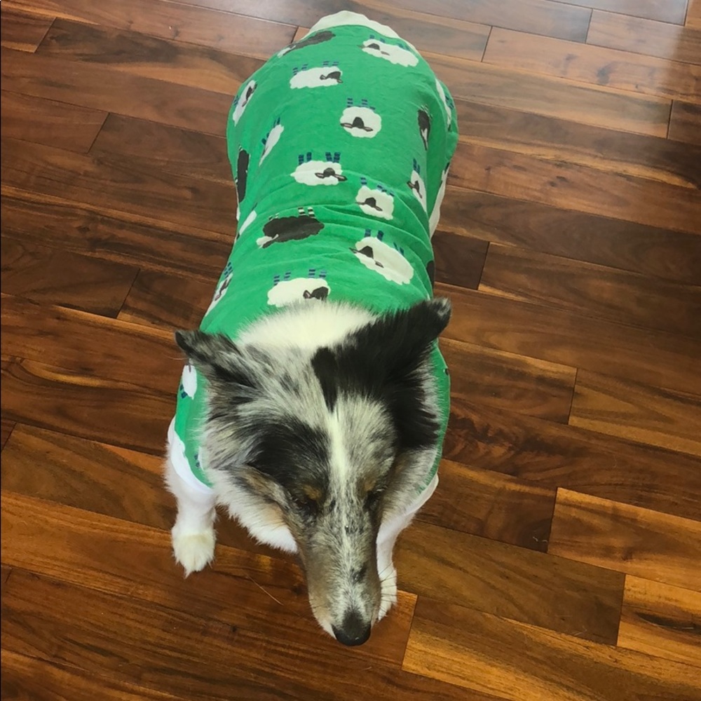 Dog pajamas/sweater